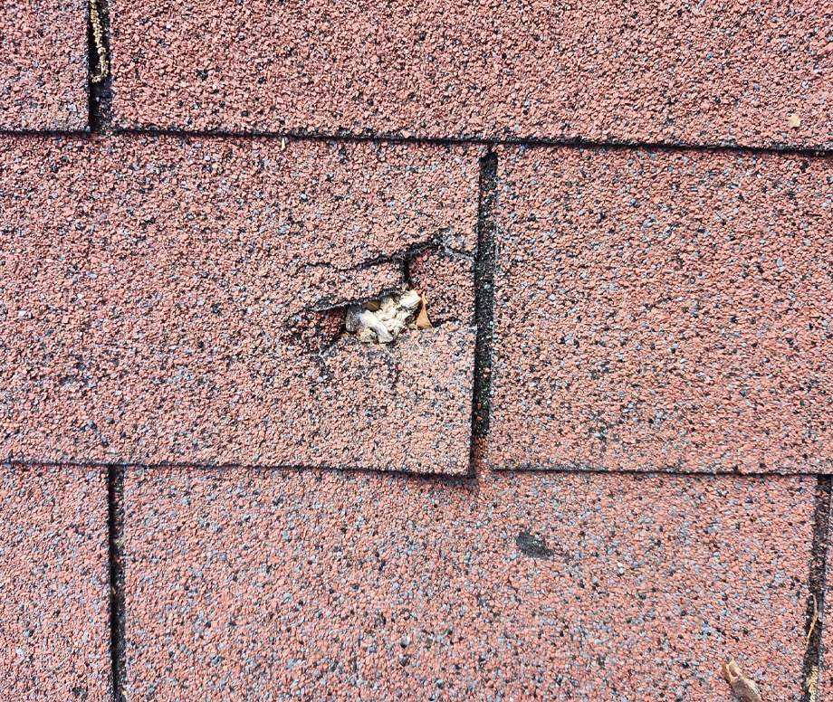 Damaged Red Asphalt Shingle Illustrating Roof Repair and Roof Leak Repair Services for Yukon and Moore, OK